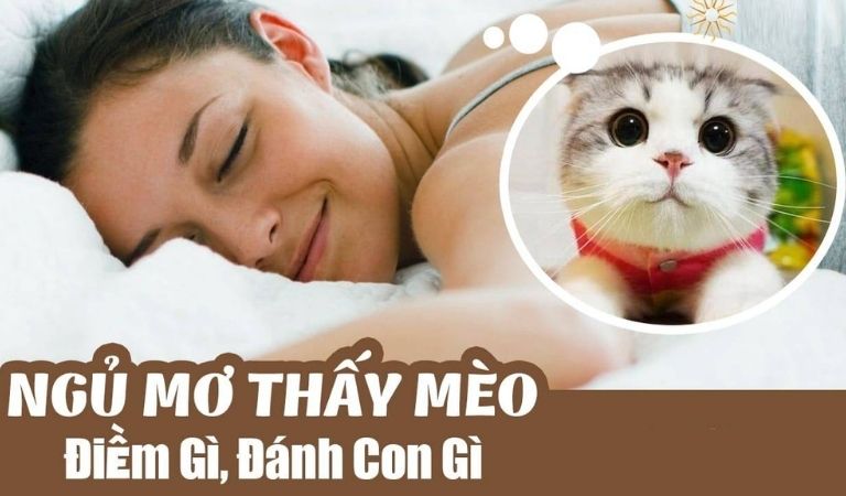 Nằm mơ thấy mèo