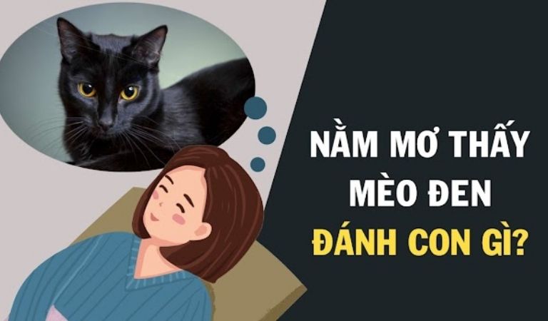 Nằm mơ thấy mèo đen